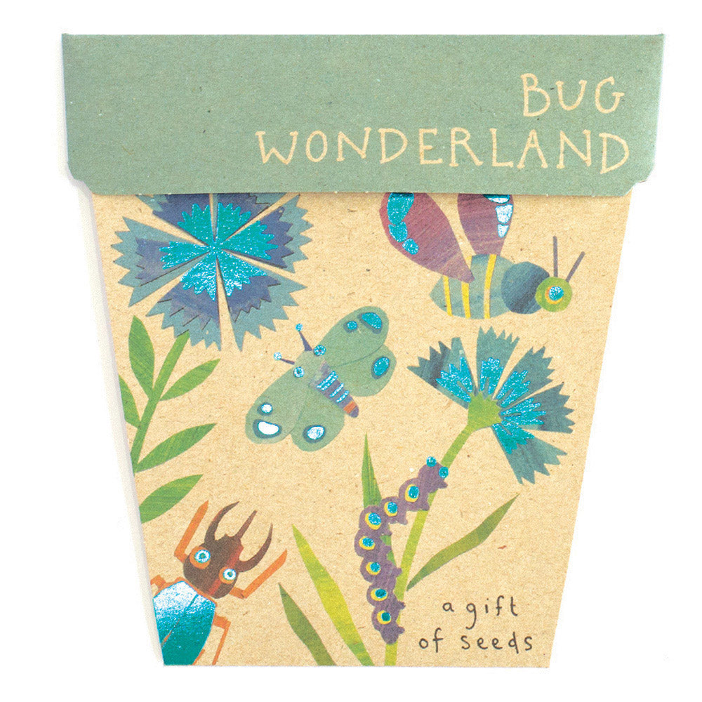 Seed Gift Bug Wonderland