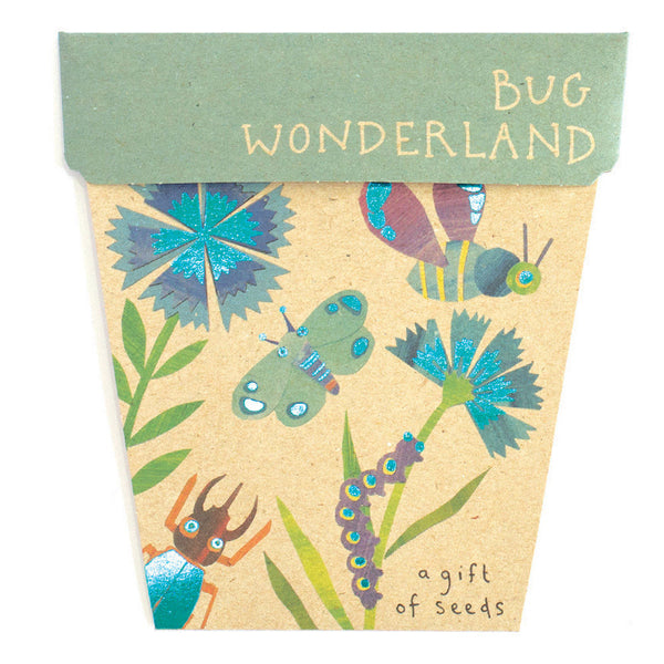 Seed Gift Bug Wonderland