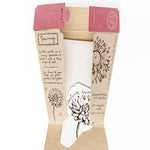 Seed Gift Everlasting Daisy