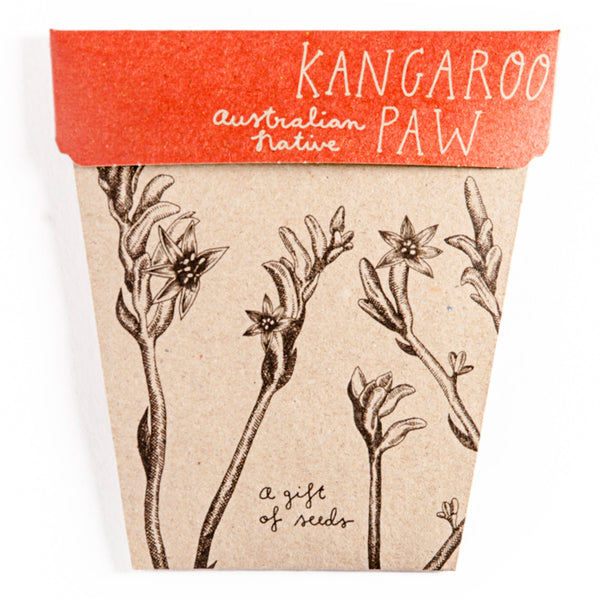 Seed Gift Kangaroo Paw