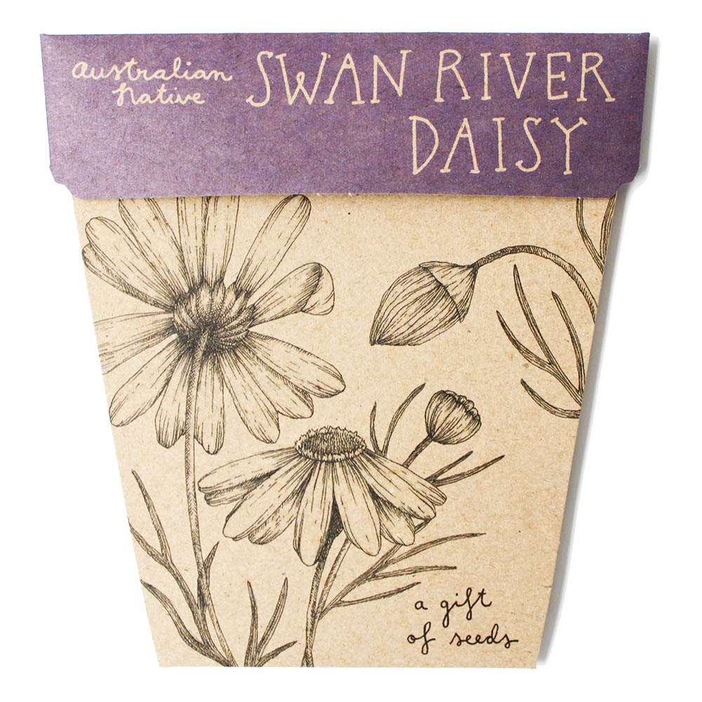 Seed Gift Swan River Daisy