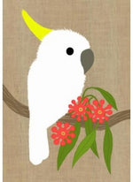 Card Cockatoo Super Cute