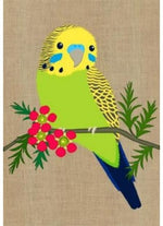 Card Budgerigar Super Cute