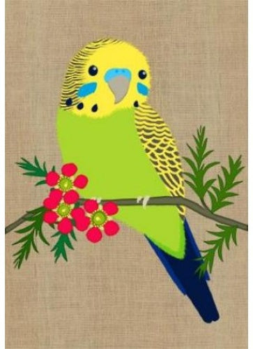 Card Budgerigar Super Cute