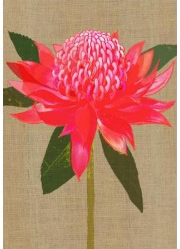 Card Waratah