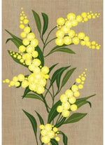 Card Wattle
