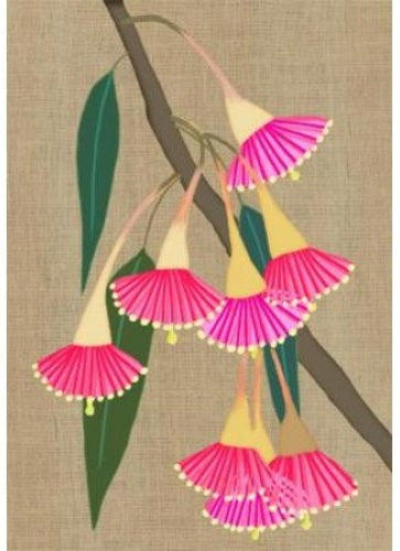 Card Eucalyptus Leucoxylon