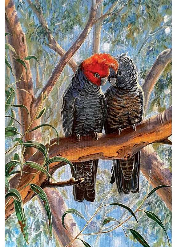 Card Lovebirds Gang Gang