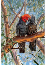 Card Lovebirds Gang Gang