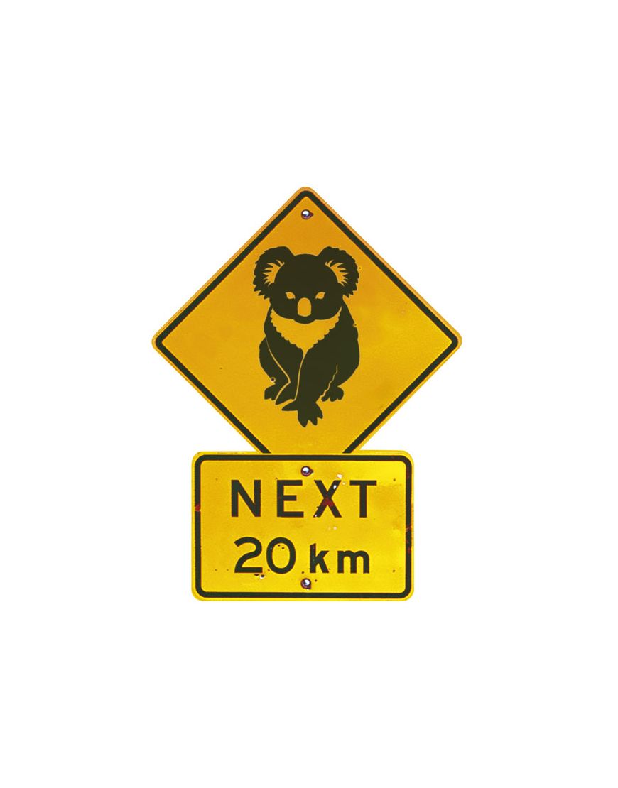 Magnet Koala Roadsign Shape