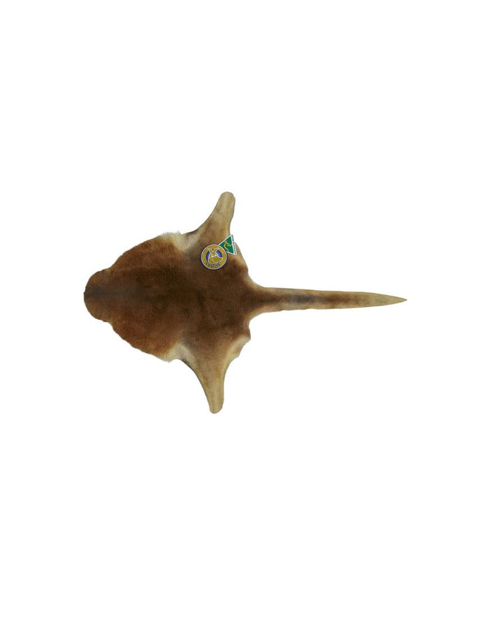 Kangaroo Skin Medium
