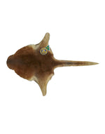 Kangaroo Skin Medium