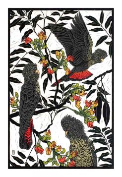 Card Red-tailed Black Cockatoo