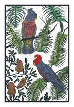 Card Wollemi and Gang Gang
