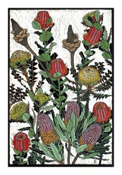 Card Banksias and Dryandra