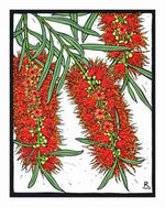 Card Bottlebrush
