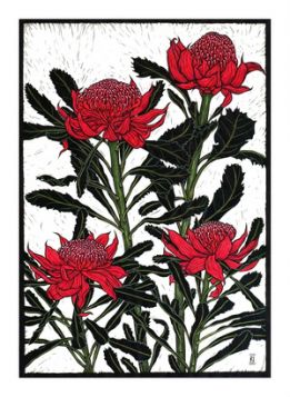 Card Waratah