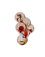 Coasters Colour Wildflowers