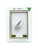 Brooch Opal RedGum Silver
