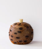 Aroma Pod Mini Banksia