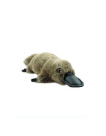 Platypus S SoftToy