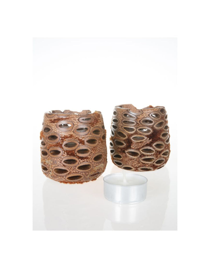Tealights Hollow Boxed Pair Banksia