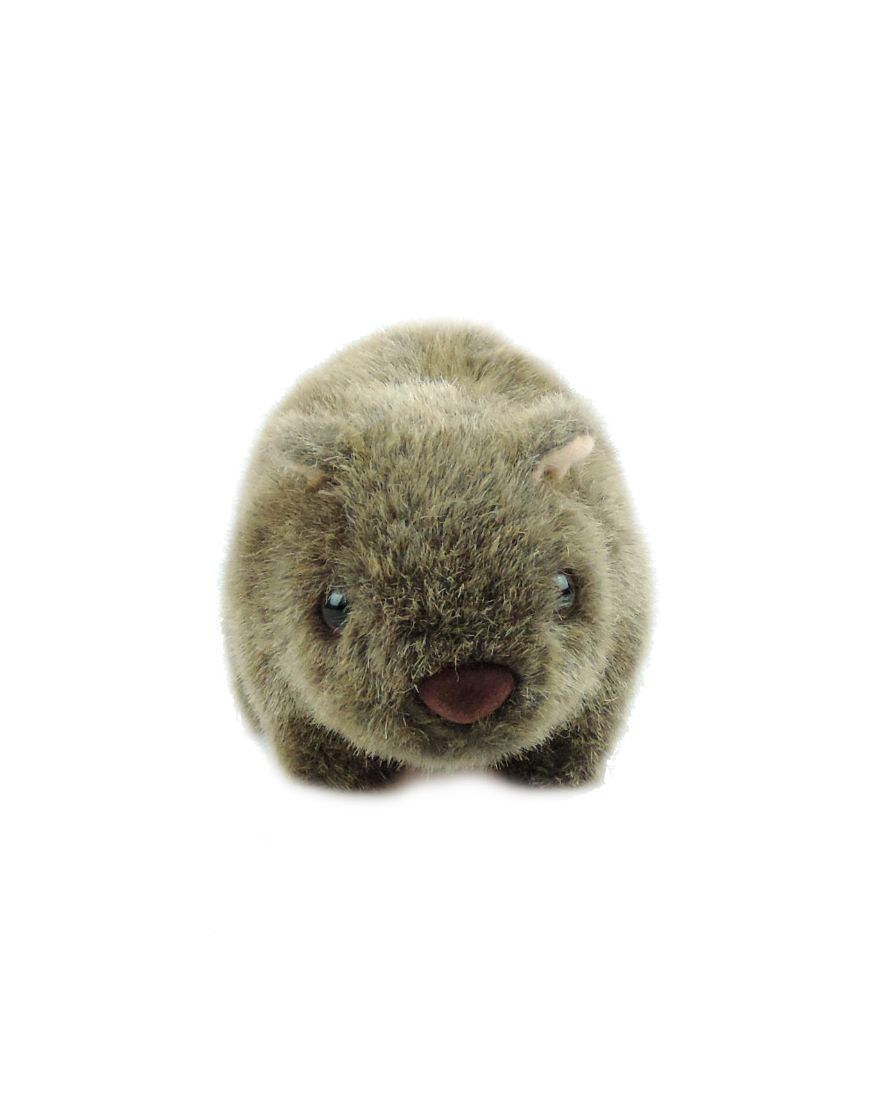 Wombat 7in Plain S SoftToy