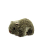 Wombat 7in Plain S SoftToy
