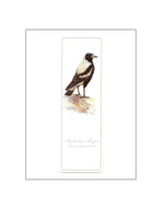 Bookmark Magpie