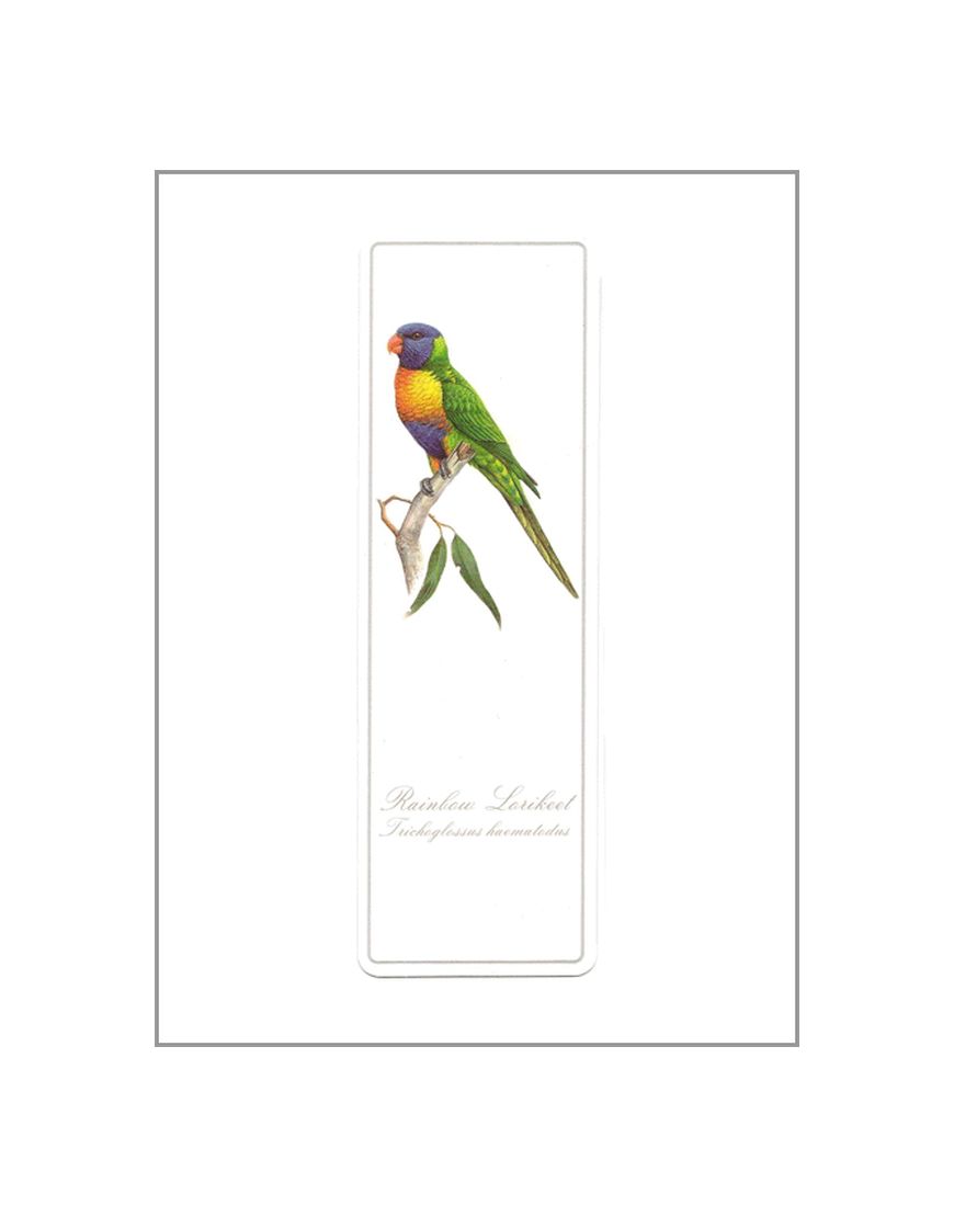 Bookmark Rainbow Lorikeet