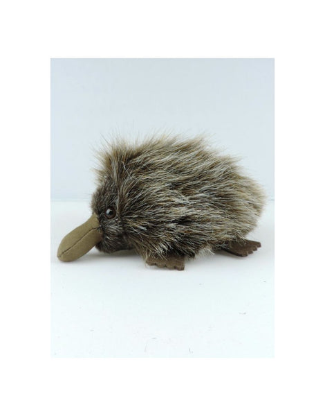 Echidna Little One SoftToy