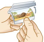 Flippin Fun Echidna