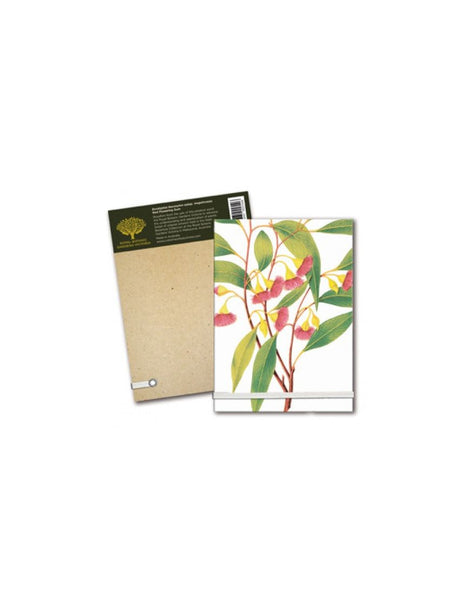 Notepad A6 Red Flowering Gum
